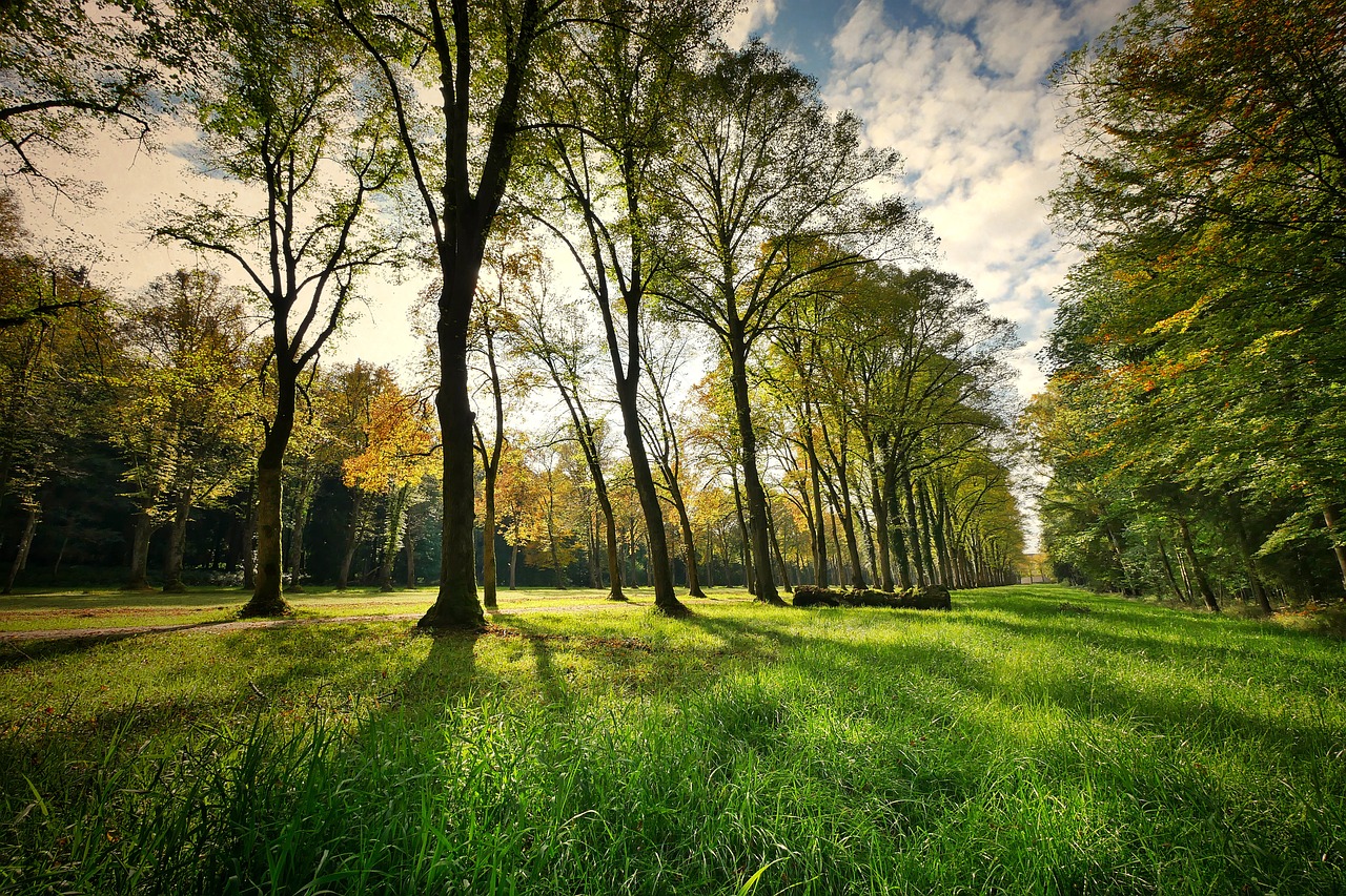 The Impact of National Parks on Cultural Heritage Preservation